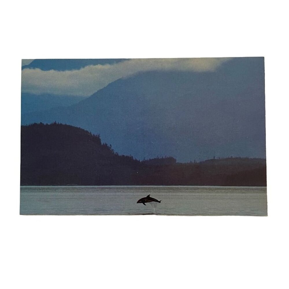 Vintage Postcard Paul Schroder Nature Sea Ocean Scene Topographical Standard u